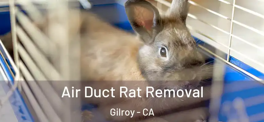  Air Duct Rat Removal Gilroy - CA