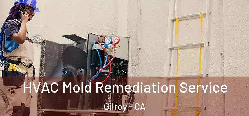 HVAC Mold Remediation Service Gilroy - CA