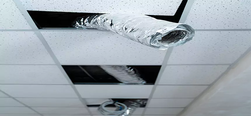 Our Air Duct Pet Hair Removal Services in Gilroy, CA