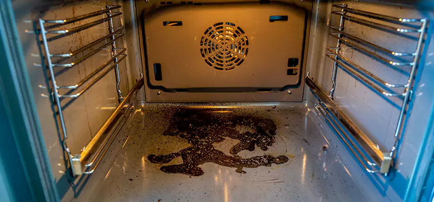 Our Dryer Vent Mold Cleaning Services in Gilroy, CA