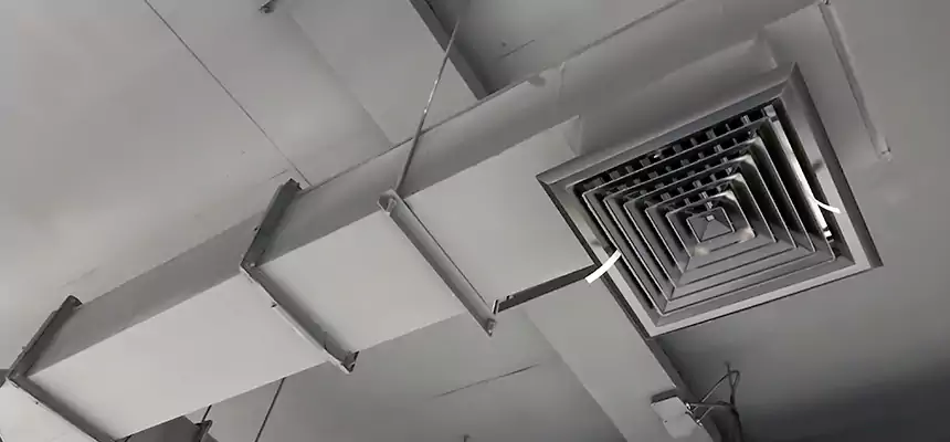 Our Rodent Droppings In Vents Services in Gilroy, CA