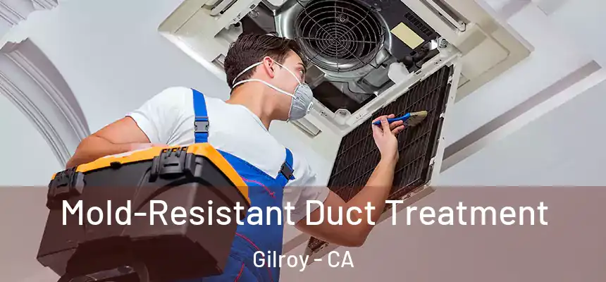 Mold-Resistant Duct Treatment Gilroy - CA