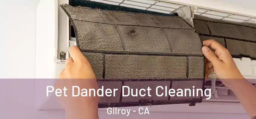  Pet Dander Duct Cleaning Gilroy - CA