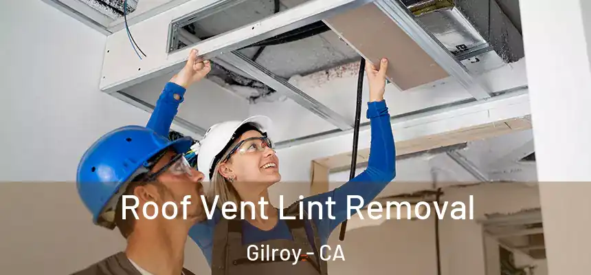  Roof Vent Lint Removal Gilroy - CA