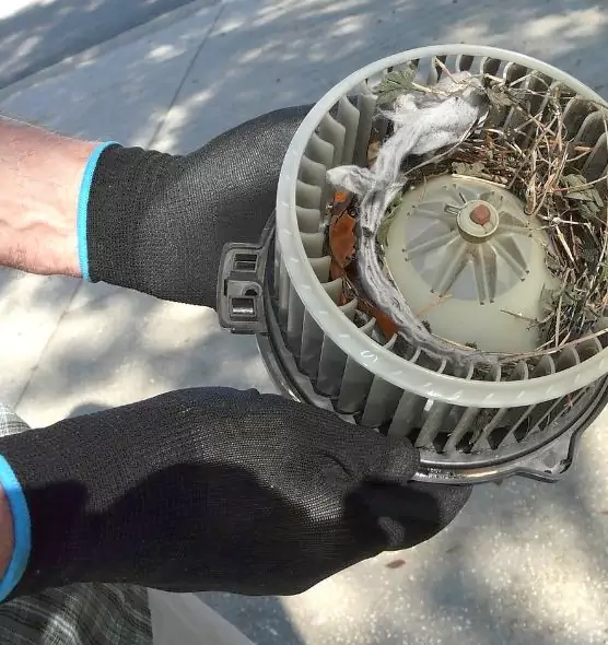 About Air Duct Mice Removal in Gilroy, CA