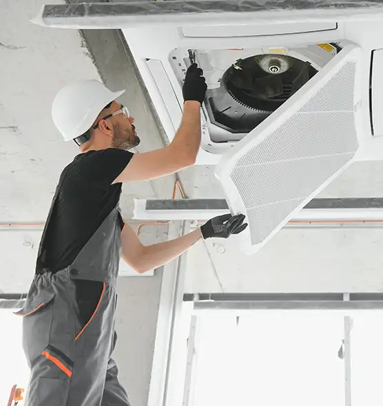 About Air Duct Rodent Removal in Gilroy, CA