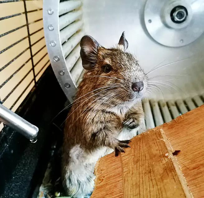 Why Homeowners & Businesses Trust Us Gilroy, CA?