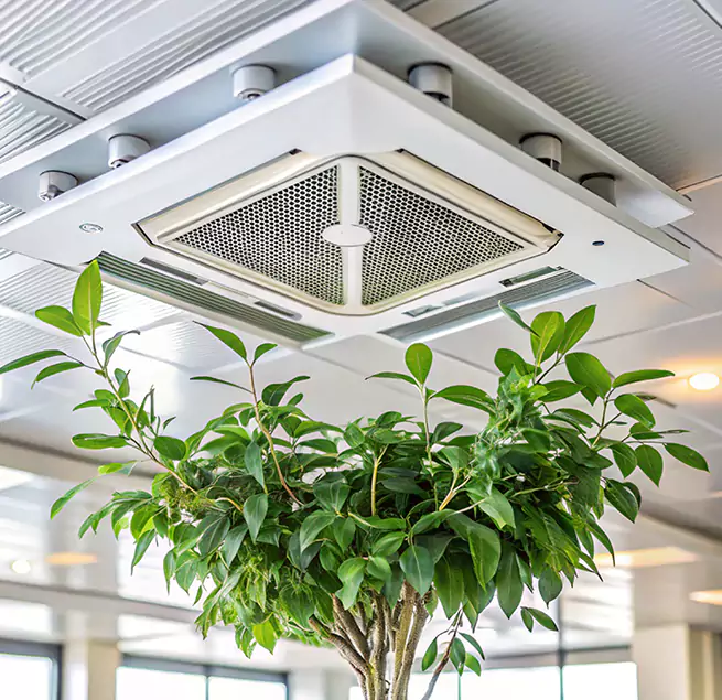 Why Homeowners & Businesses Trust Us in Gilroy, CA?